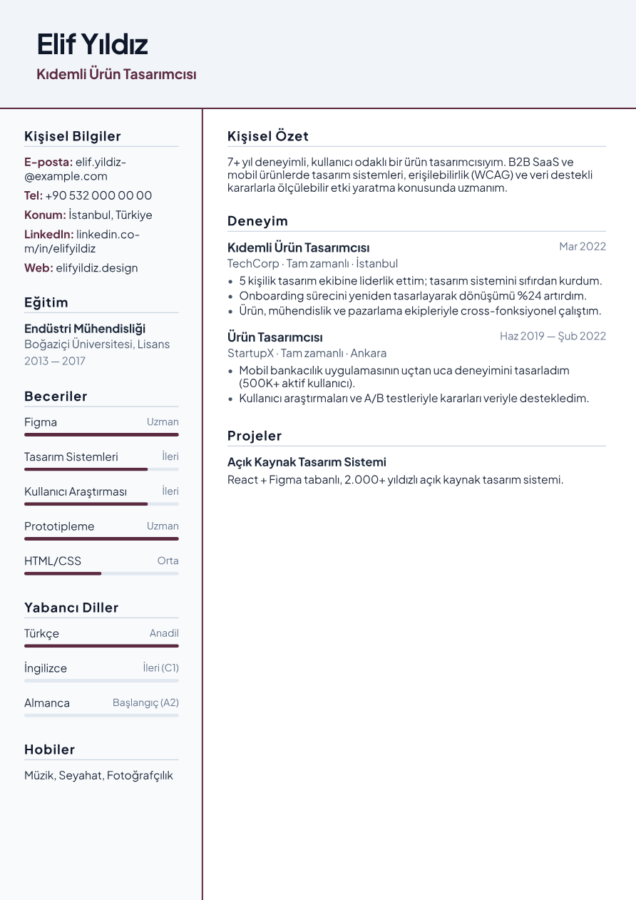 Tasarımcı CV Örneği