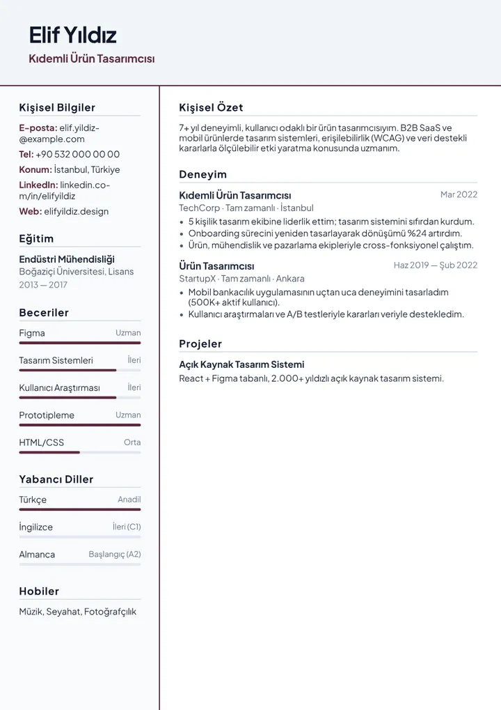 Designer CV Example