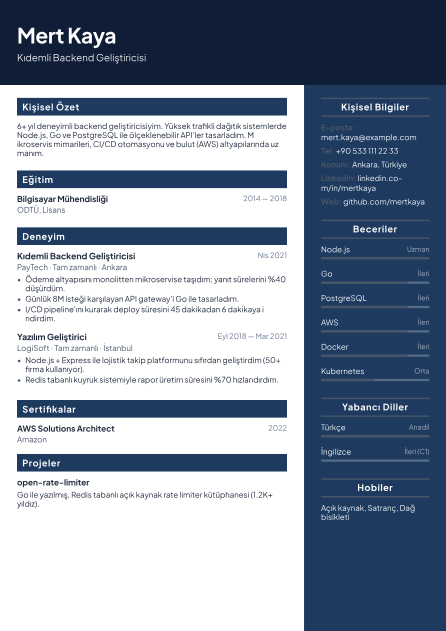 Yazılımcı CV Örneği
