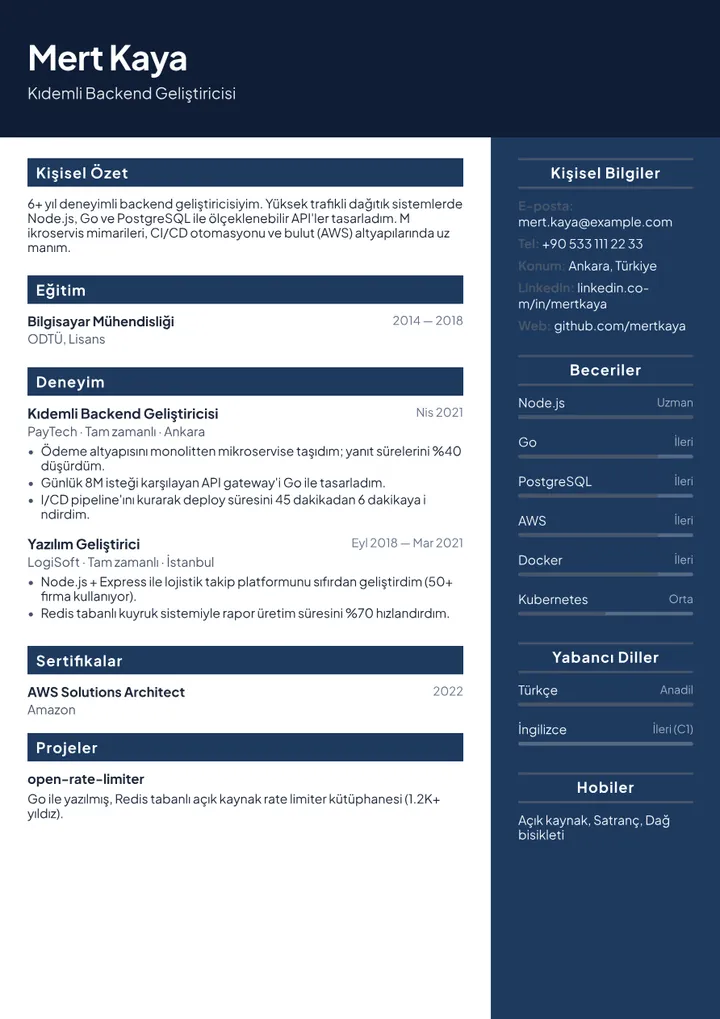 Developer CV Example