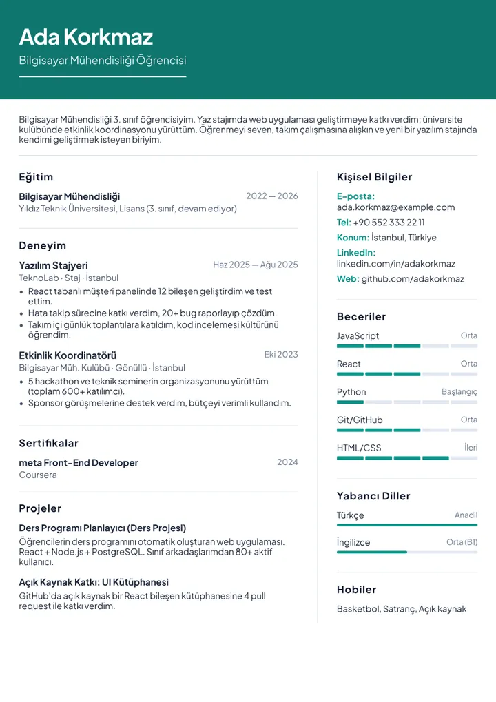 Intern / Student CV Example