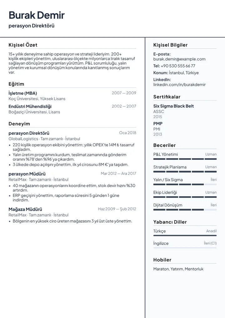 Executive CV Example